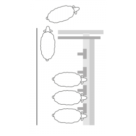 Sală de muls oi și capre cu ieșire laterală