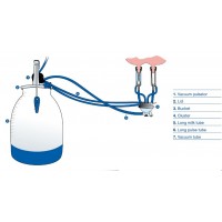 Instalație de muls la bidon