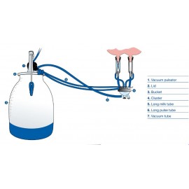 Instalație de muls la bidon
