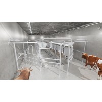 Sală de muls vaci brăduleț