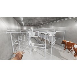 Sală de muls vaci brăduleț