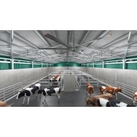 Sală de muls vaci paralel