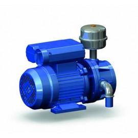 Pompă de vacuum GPV 200  (model uscat)