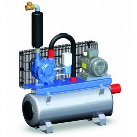 Pompă de vacuum GPV 750 cu tanc de 65 Litri - 600L/min