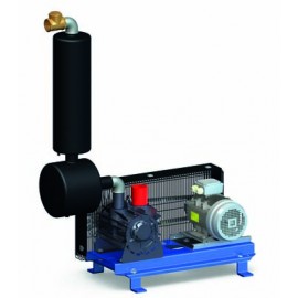 Pompă de vacuum GPV 2200 pe suport - 1600L/min