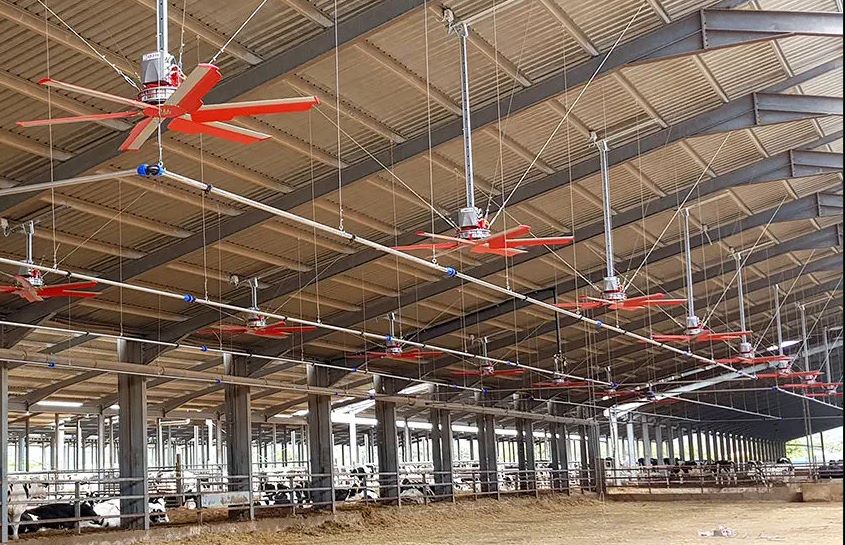 Cum ajută un spațiu bine aerisit la sănătatea și productivitatea animalelor