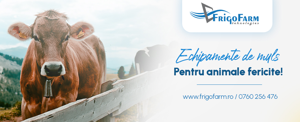 title_69e1b82b61c9026261941776400427