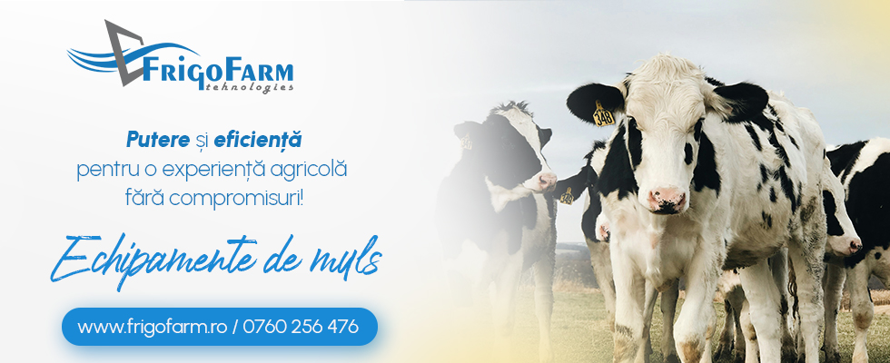 title_69e1b82b61c567369819481776400427